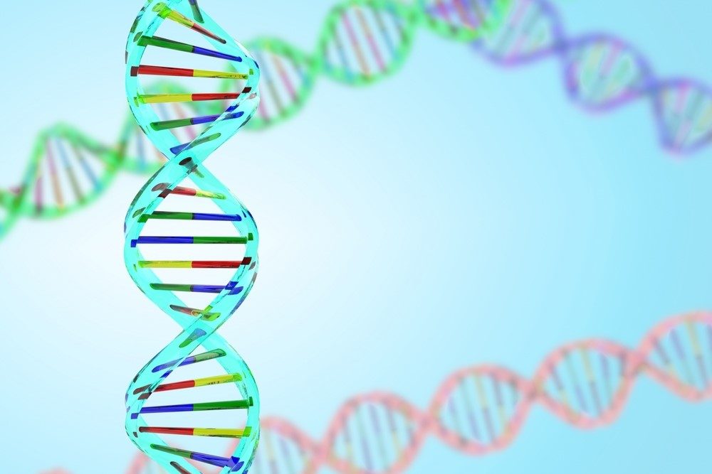 Employee Satisfaction_Genetic influence